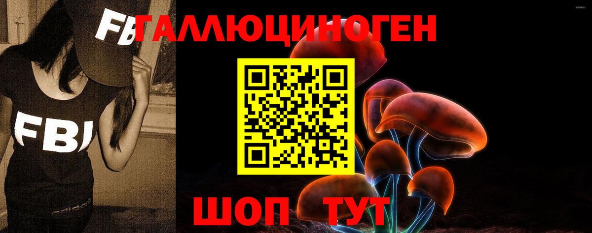 Псилоцибиновые грибы Psilocybine cubensis Белогорск